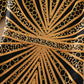 Black Plus Size High Quality Half Sleeve Mesh Embroidery Dress