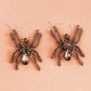 Halloween Pumpkin Skeleton Bat Earrings