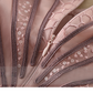 Pink Plus Size High Quality Half Sleeve Mesh Embroidery Dress